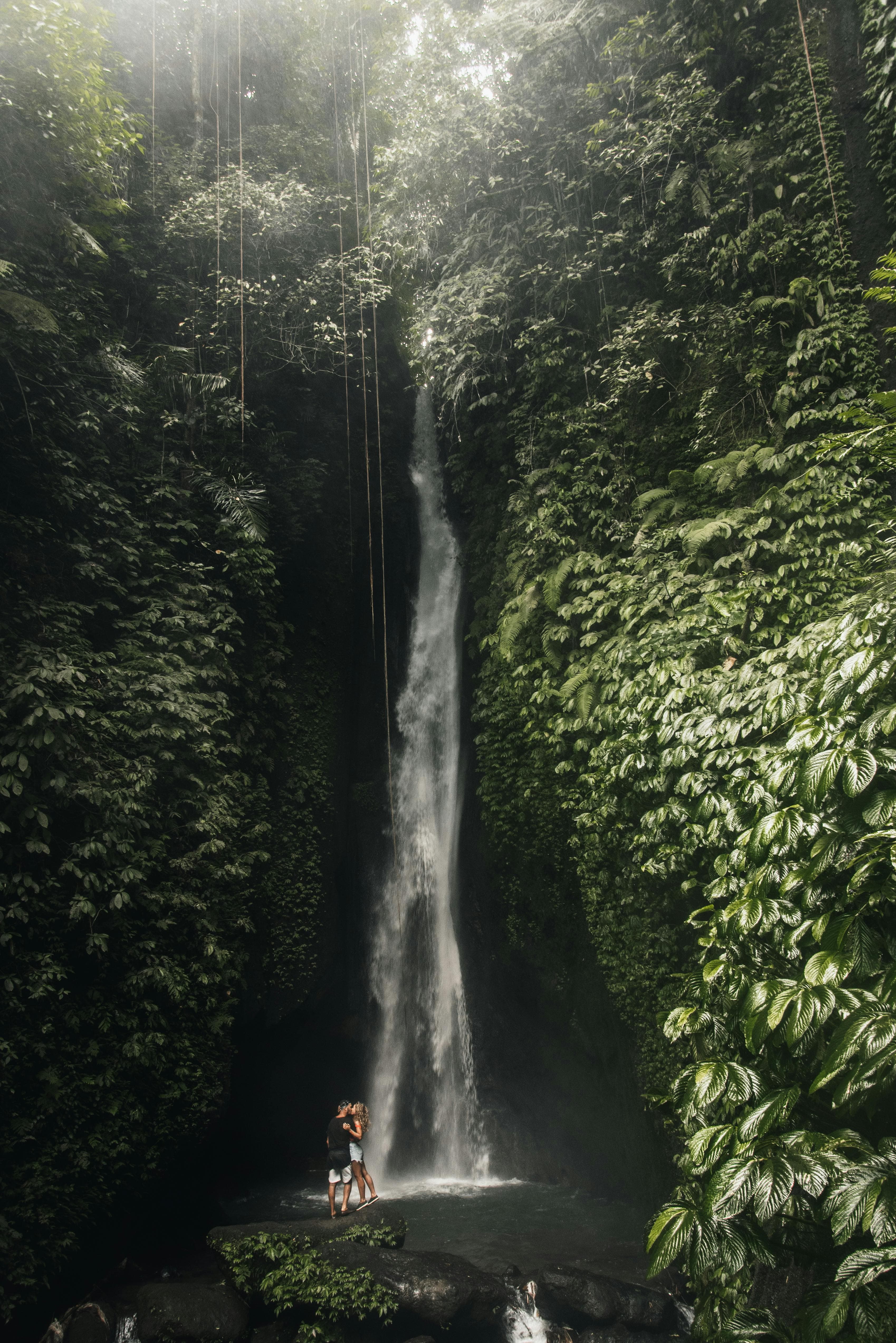 North Bali Escape: Leke Leke, Ulun Danu, Handara Gate & Banyumala Image 2
