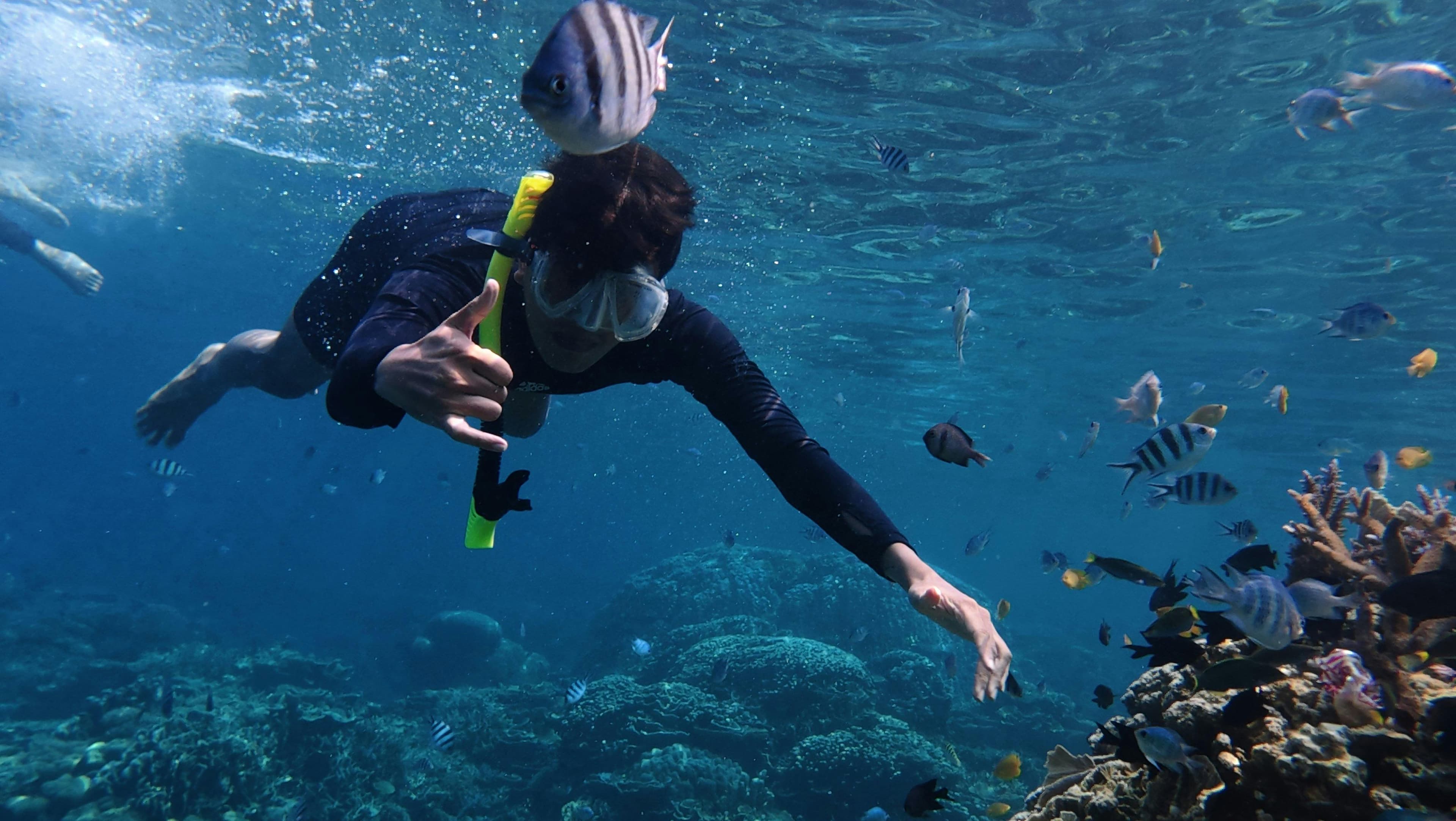 Blue Lagoon Snorkeling Tour: All-Inclusive Bali Experience with Lunch & Transfers Image 2