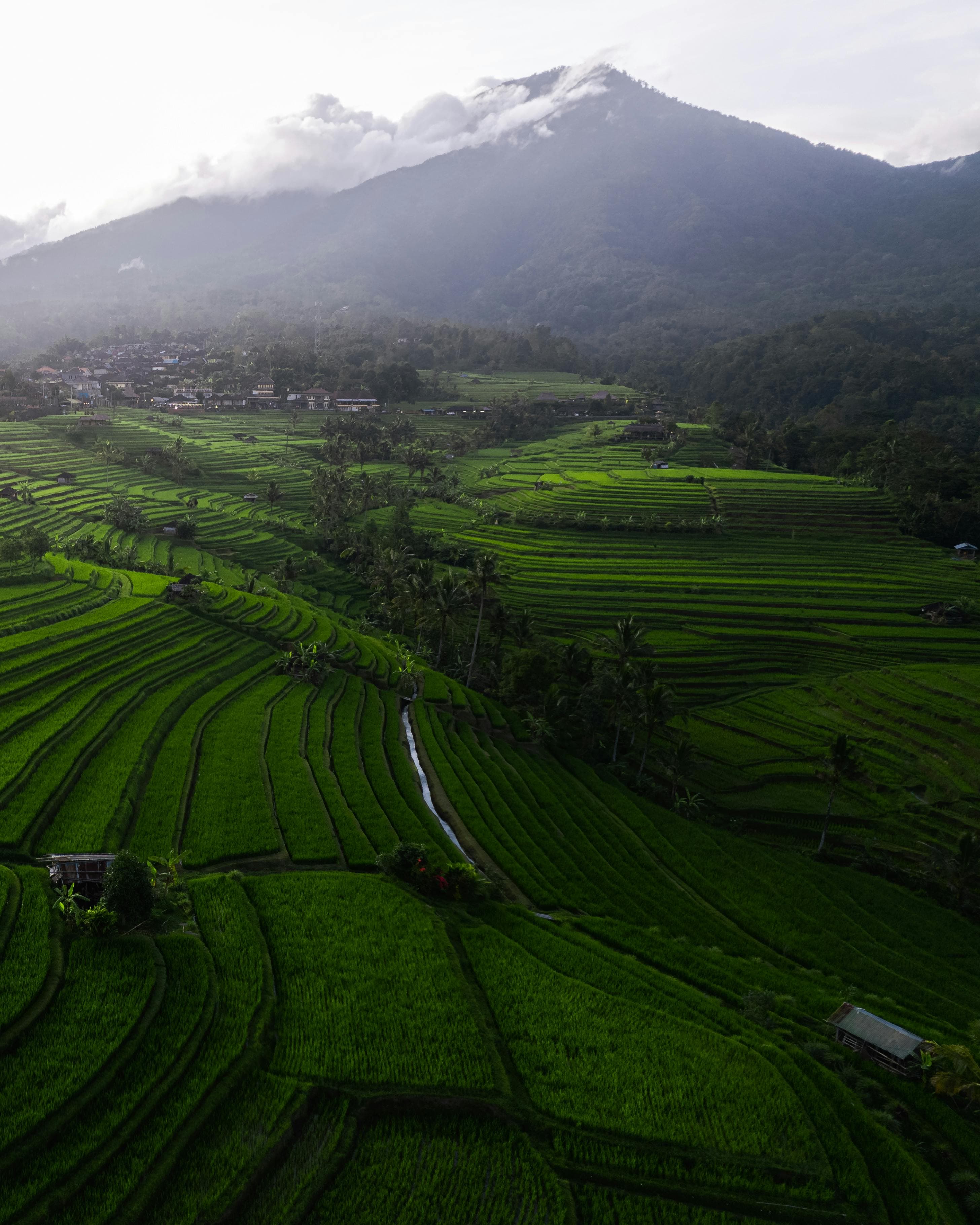 Bali Heritage & Sunset Tour: Taman Ayun, Kayu Putih, Jatiluwih & Tanah Lot Image 4