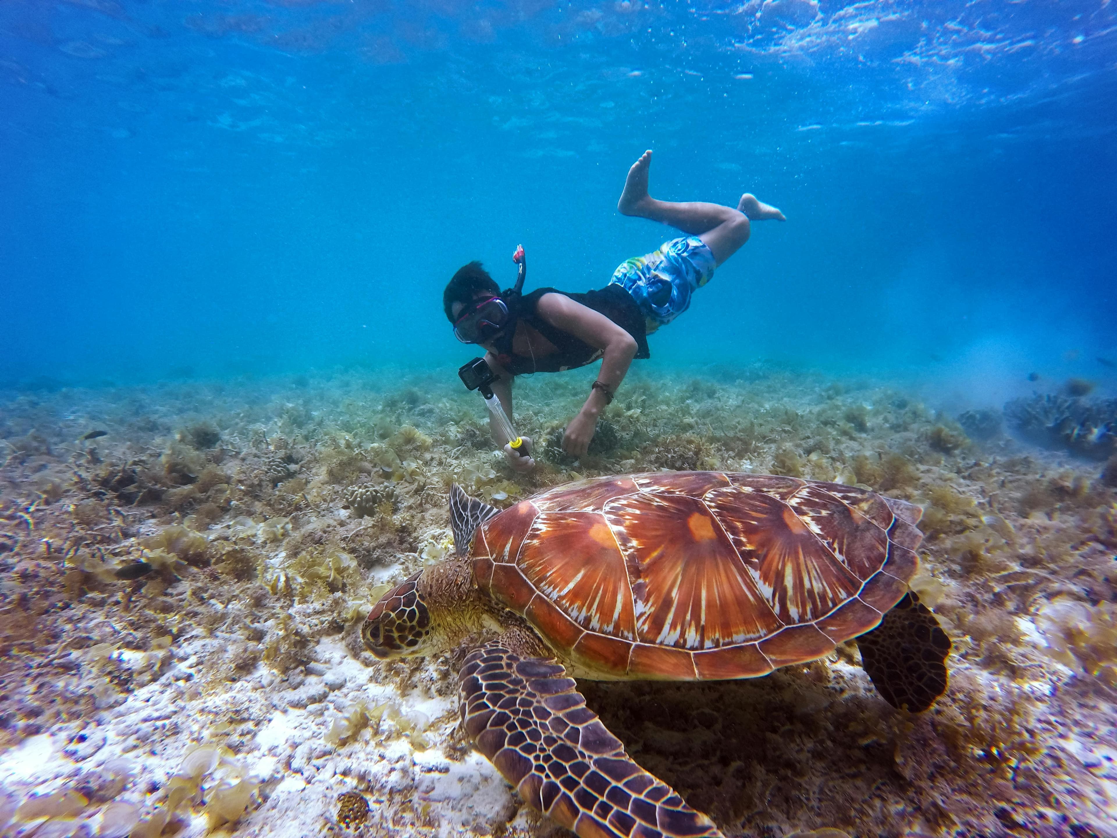 Blue Lagoon Snorkeling Tour: All-Inclusive Bali Experience with Lunch & Transfers Image 5