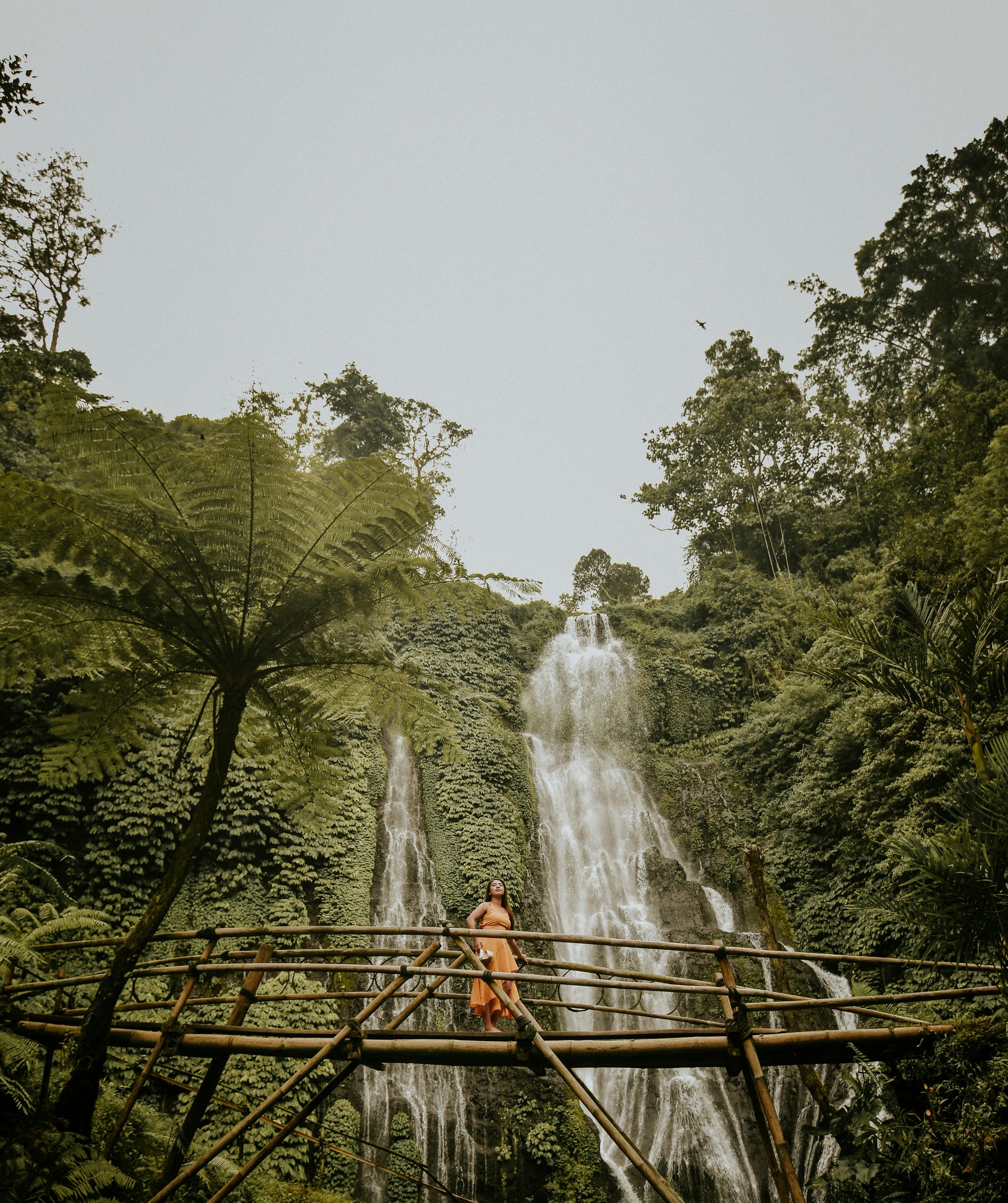 North Bali Escape: Leke Leke, Ulun Danu, Handara Gate & Banyumala Image 5