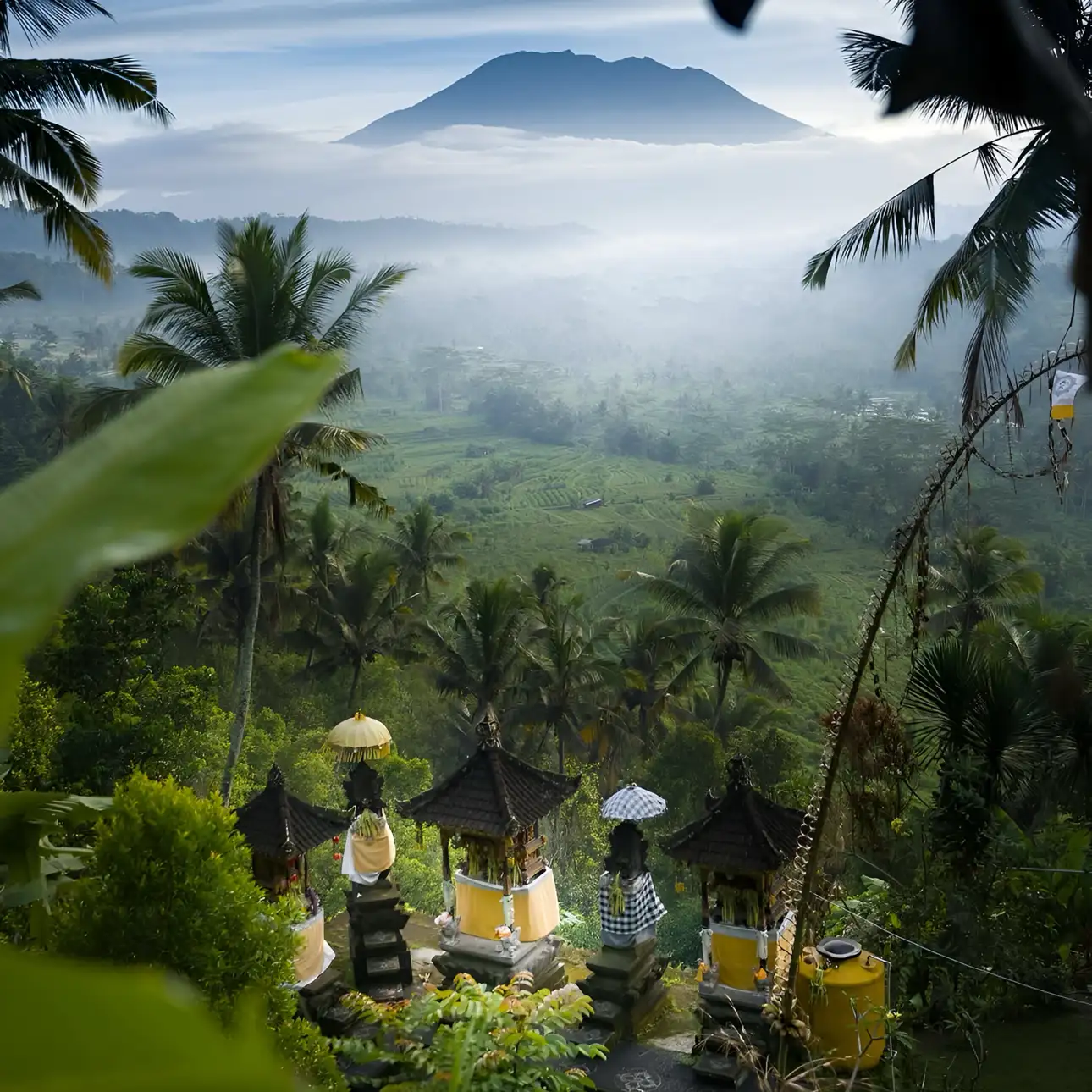 Ubud Highlights VW Safari Tour Image 3
