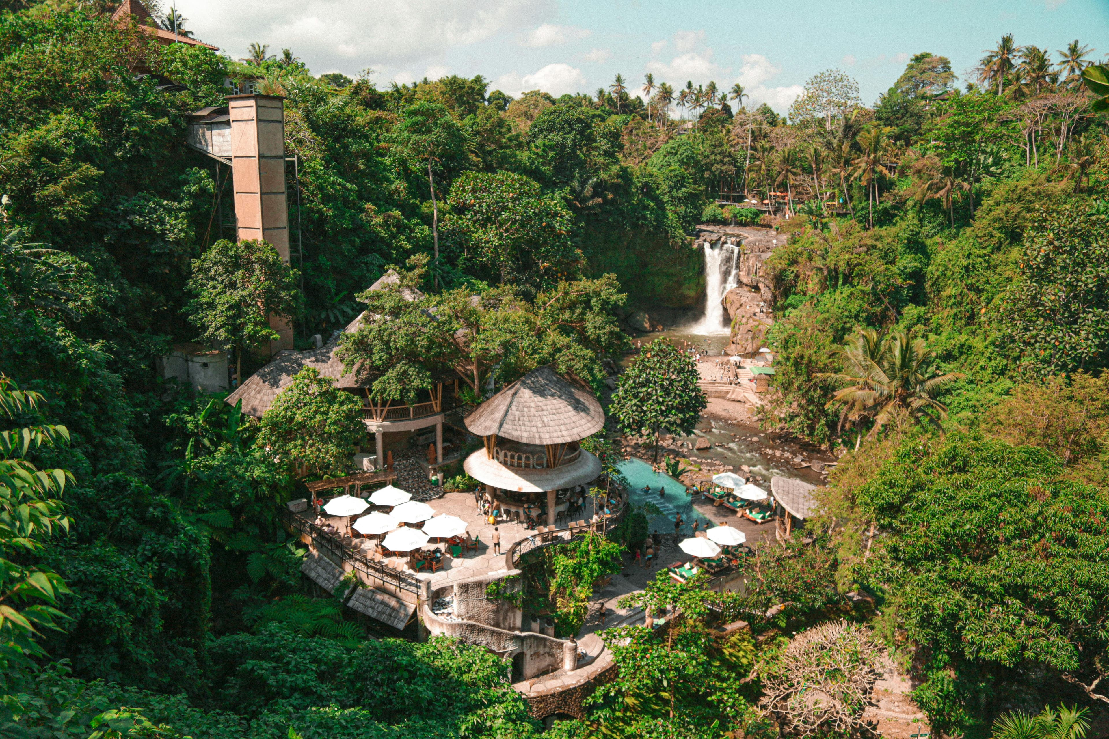 Ubud Full-Day Tour: Monkey Forest, Rice Terraces, Temple & Waterfall Image 7