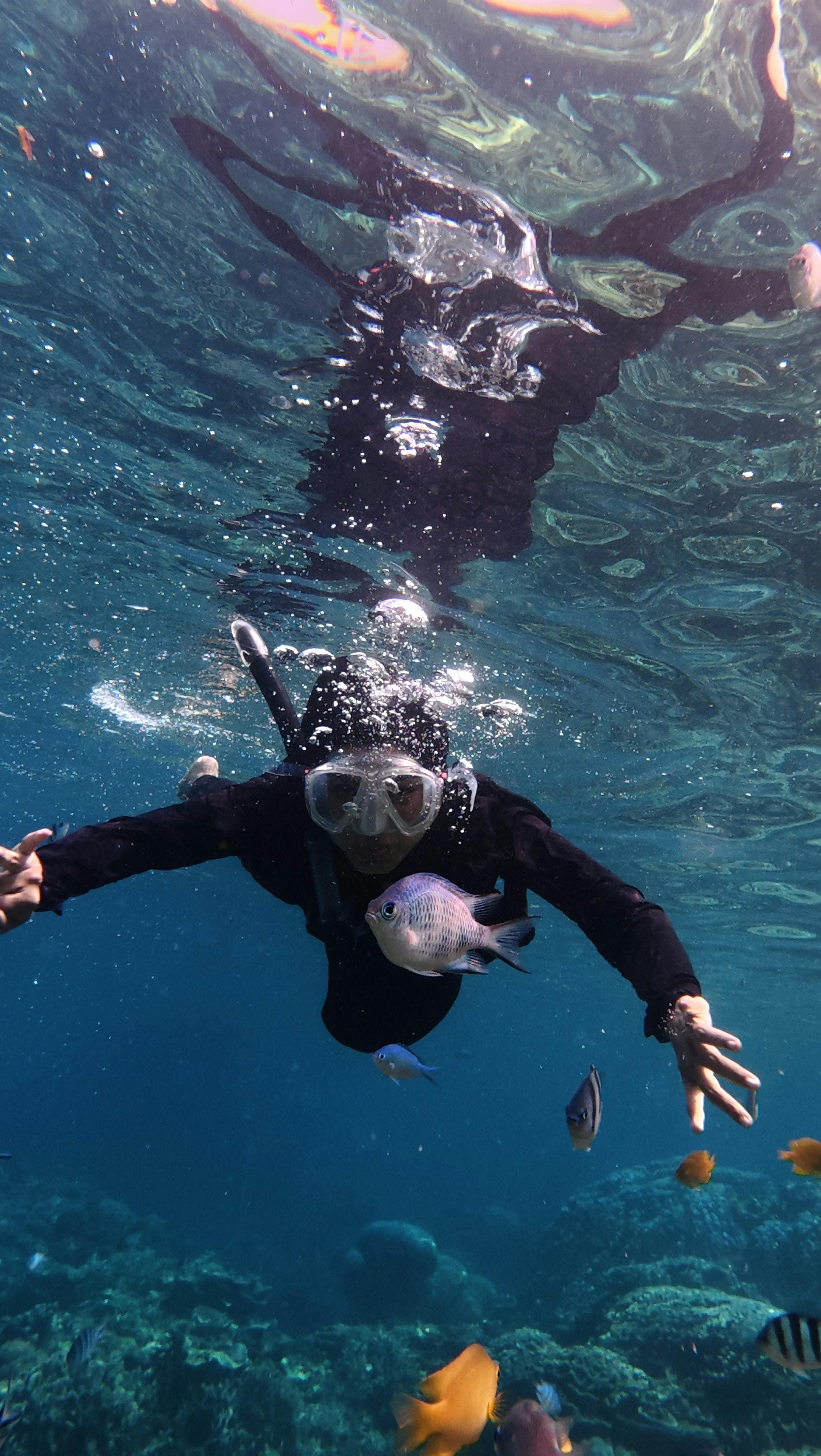 Blue Lagoon Snorkeling Tour: All-Inclusive Bali Experience with Lunch & Transfers Image 4